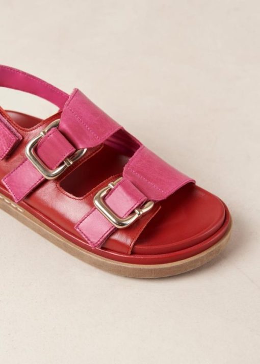 Theshoecabinet.shop8fc4f3e0d6 7