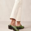 Theshoecabinet.shop910dd6ee26 1