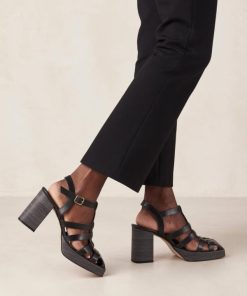 Theshoecabinet.shop9e2e3085f0 1