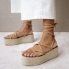 Theshoecabinet.shopa689793358 1