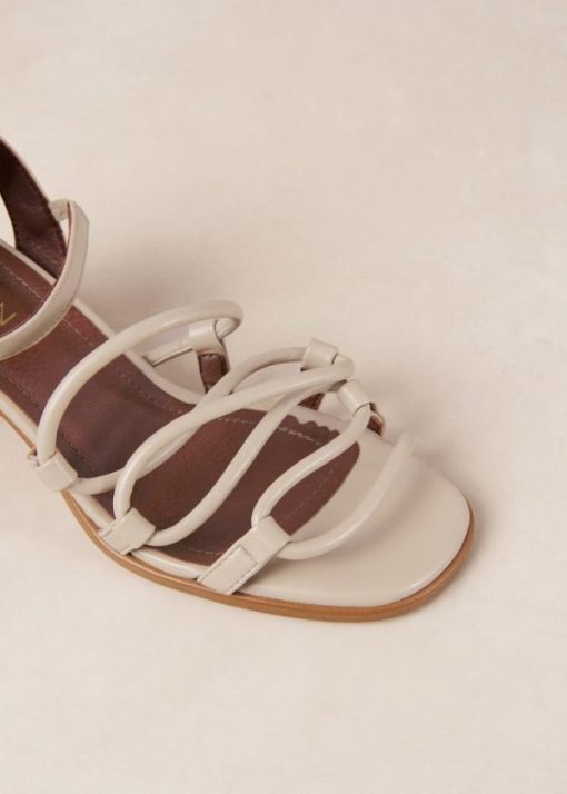 Theshoecabinet.shopb40e61a485 6