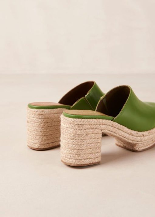 Theshoecabinet.shopb7a6552c3a 7