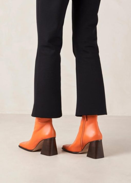 Theshoecabinet.shopbd89fcc911 3