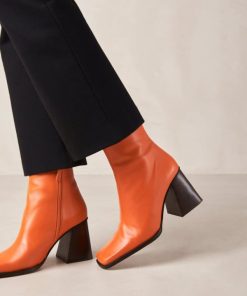 Theshoecabinet.shopbd89fcc911 5