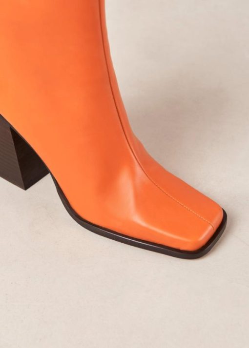 Theshoecabinet.shopbd89fcc911 6