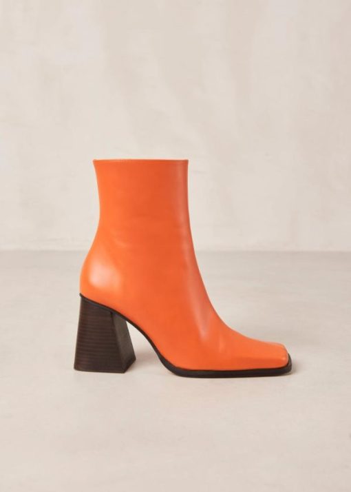 Theshoecabinet.shopbd89fcc911 7