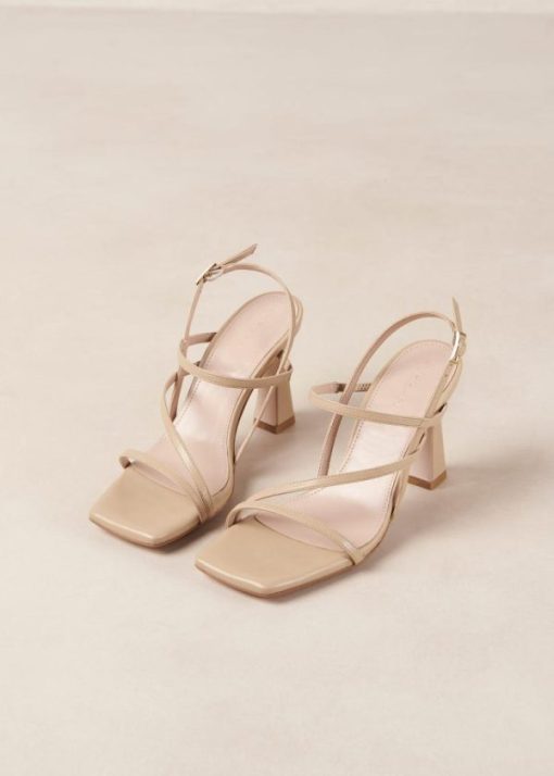 Theshoecabinet.shopc7fb425dc2 6