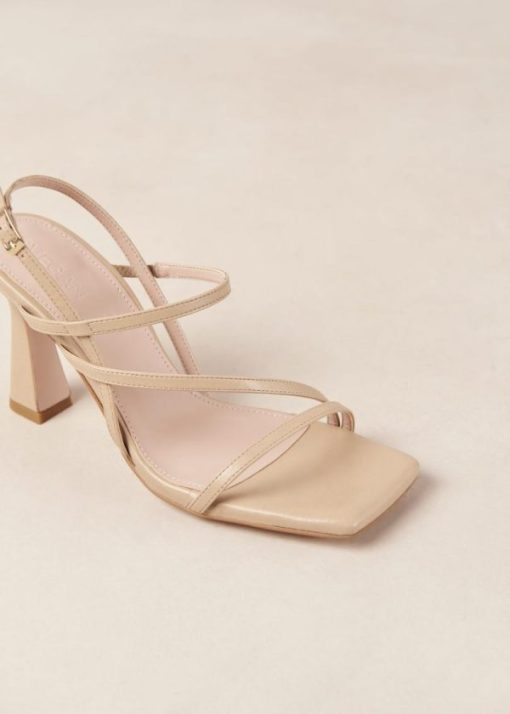 Theshoecabinet.shopc7fb425dc2 7