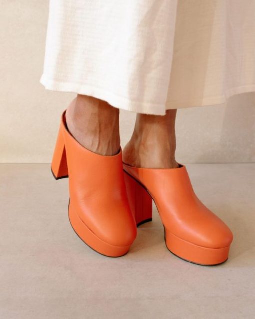 Theshoecabinet.shopc86226a901 1