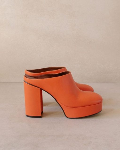 Theshoecabinet.shopc86226a901 3