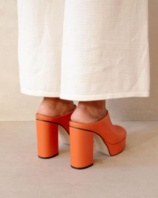 Theshoecabinet.shopc86226a901 4