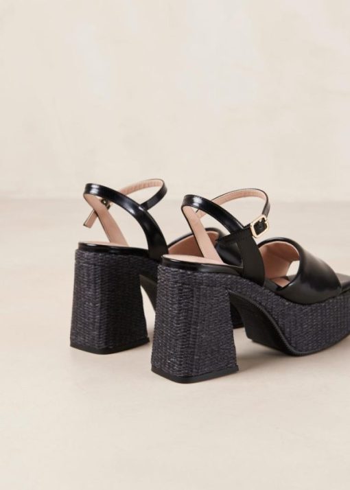 Theshoecabinet.shopc8794844bd 8