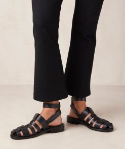 Theshoecabinet.shopcab275731d 1