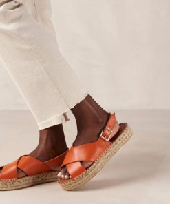Theshoecabinet.shopce378073f5 1