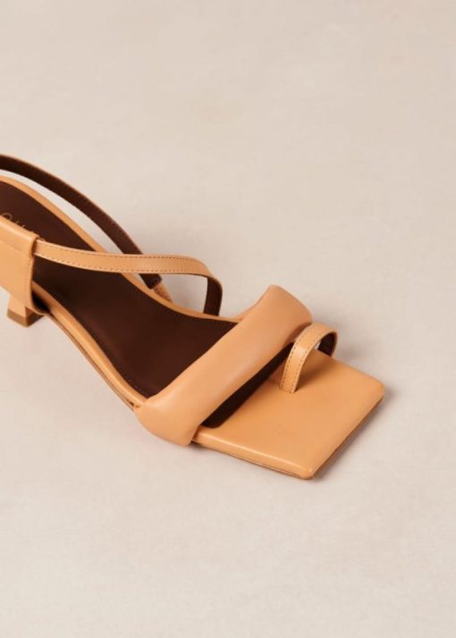 Theshoecabinet.shopd0b789928a 6
