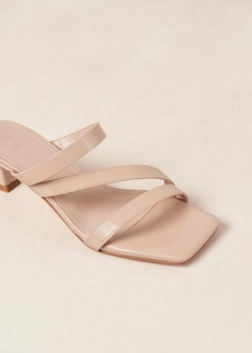 Theshoecabinet.shopd24d4518d4 8