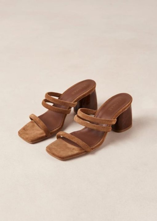 Theshoecabinet.shopd5d0147236 5