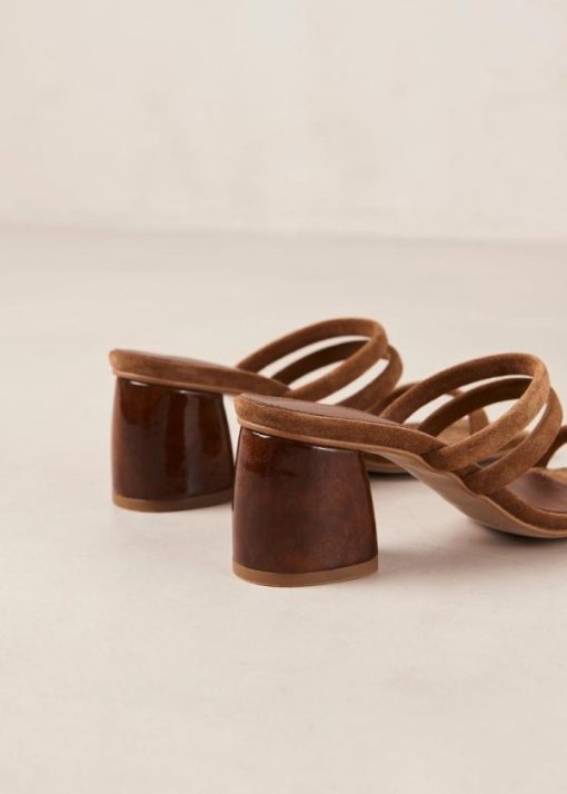 Theshoecabinet.shopd5d0147236 7