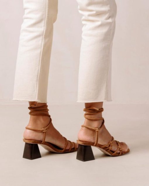 Theshoecabinet.shopd8120176a0 1