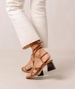 Theshoecabinet.shopd8120176a0 5
