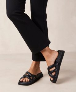 Theshoecabinet.shopd9ab5df586 1