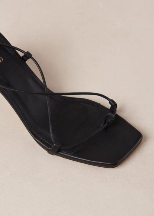 Theshoecabinet.shopdd7ce881a4 7