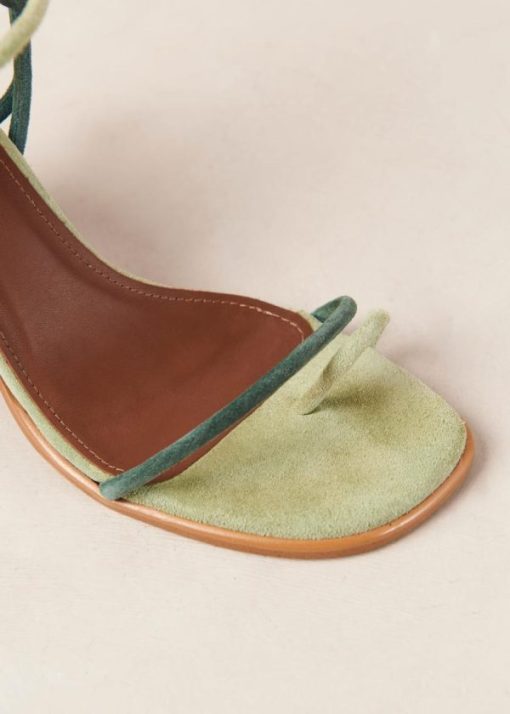 Theshoecabinet.shope74e543c25 7