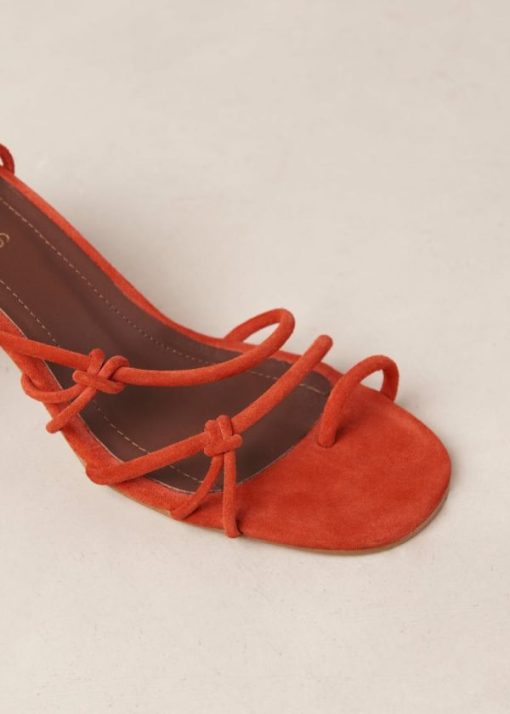 Theshoecabinet.shopecc84fe9d7 7