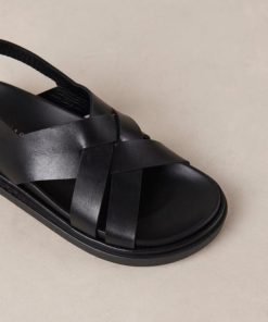 Theshoecabinet.shoped3a514468 7